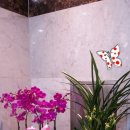 동감치과의원 이미지