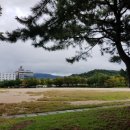 대원테니스장 이미지