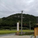 포항 반송정국시 메밀소바 김밥 맛집 내돈내산 솔직후기 화진해수욕장