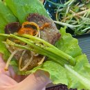 도새기1982중문점 이미지