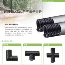 소일초등학교 이미지