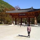 고운사
