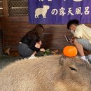 청수농장 이미지