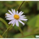 쌍둥이네 농장 이미지