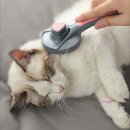 미미 펫 그루밍 이미지