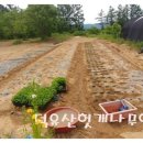 여주-0929 이미지