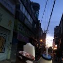 아니즈