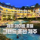 굿모닝관광호텔 | 제주 아이랑 호텔 🌿 조경이 예뻤던 그랜드 조선 제주 디럭스 트윈 후기