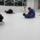 무 주짓수 아카데미 검단당하동 이미지