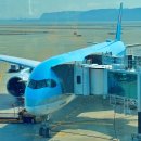 제이피대한글로벌(주) | 대한항공 KE725 에어버스 A350-900 인천 오사카 일반석 후기 기내식 라운지 오사카 항공권