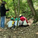 당림초병설유치원 이미지