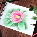 색연필드로잉 이미지