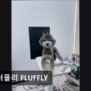 플러플리 FLUFFLY 이미지
