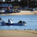 드르니항 이미지