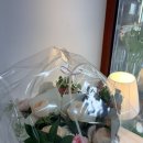 해피플라워 | 청주 꽃집 청주 꽃배달 해피플라워 후기