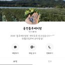 홍천블루베리팜