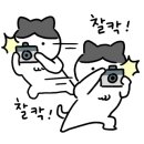 라비드아틀란호텔Ⅱ 이미지