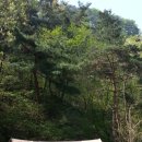 곡성-233 이미지