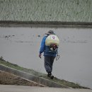 창포배수장 티스토리