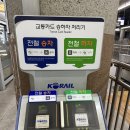 인제06-2 | 인제/자작나무숲투어 :: 코레일 기차여행 패키지 당일치기, 자작나무숲 투어 만족도 100%