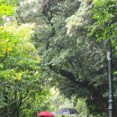 서귀동 천지연 생수궤 이미지