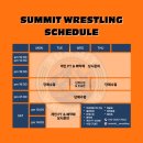써밋레슬링 이미지