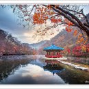 우화정 - 경산시 | 우화정