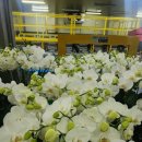 사계절꽃집 이미지