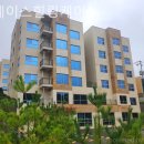 그레이스 힐링 이미지