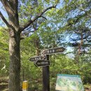 경수봉민박 이미지