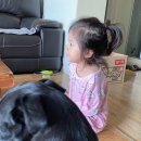 동대전초등학교 | D+79 날씨 좋은 날 엄빠 수다떨며 귀가 (+가양동 똘이네 분식 후기)