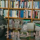 울림 반려견 교육센터 이미지
