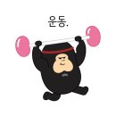 단콩 이미지