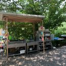 영심이네민박 이미지