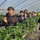 예곡초등학교 이미지