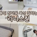 다미케이크 이미지