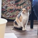 들녁 | [고창/선운사] 보리들녁 식당 후기