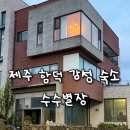 씨유 제주제일점 | 제주 동쪽 가성비 감성숙소 함덕 수수별장 2호 내돈내산 후기
