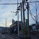 돼지한판 | 대전 반석동 맛집 동불회관, 돼지고기 한판 솔직 후기!!