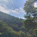 청계 맑은숲공원 이미지