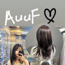 아우프(Auuf)