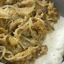 푸코펫 | 찬란하게 빛나길