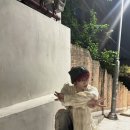 오늘된찌 이미지