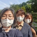 회정초 이미지