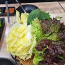 참가자미나라 이미지