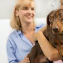 Dr.J동물병원 이미지