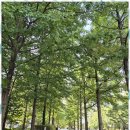 금터공인중개사사무소 이미지