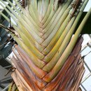 상동호수공원 이미지