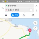 순이네가자 - 고흥군 고흥로 1783 | 순이네가자