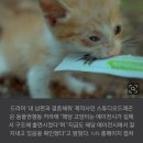 드라마 '내남결' 속 새끼 고양이 장면, 어떻게 촬영됐나 이미지